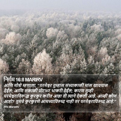 निर्गम 16:8 MARIRV Bible Verse Image