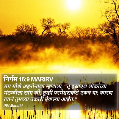 निर्गम 16:9 MARIRV Bible Verse Image