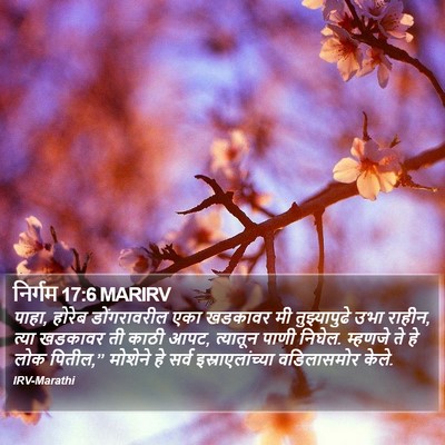 निर्गम 17:6 MARIRV Bible Verse Image