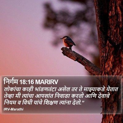 निर्गम 18:16 MARIRV Bible Verse Image
