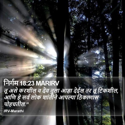 निर्गम 18:23 MARIRV Bible Verse Image