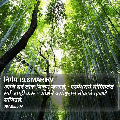 निर्गम 19:8 MARIRV Bible Verse Image