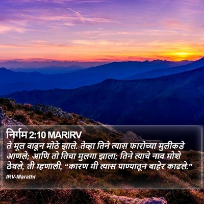 निर्गम 2:10 MARIRV Bible Verse Image