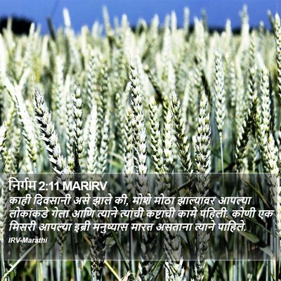 निर्गम 2:11 MARIRV Bible Verse Image
