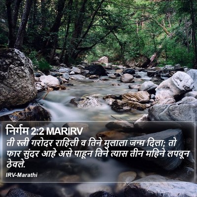 निर्गम 2:2 MARIRV Bible Verse Image