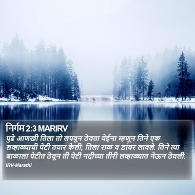 निर्गम 2:3 MARIRV Bible Verse Image