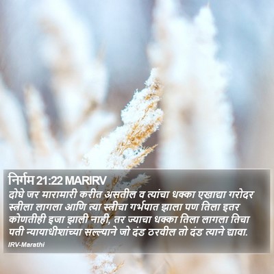 निर्गम 21:22 MARIRV Bible Verse Image