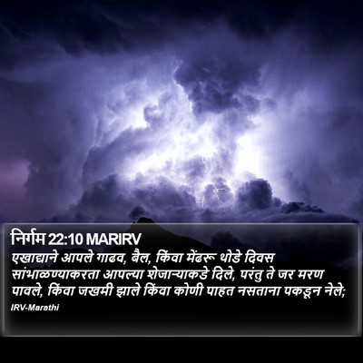 निर्गम 22:10 MARIRV Bible Verse Image