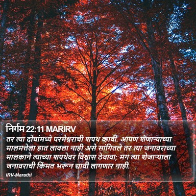 निर्गम 22:11 MARIRV Bible Verse Image