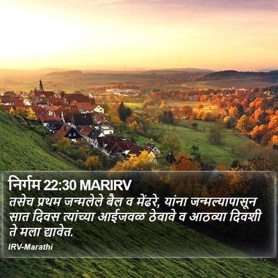 निर्गम 22:30 MARIRV Bible Verse Image