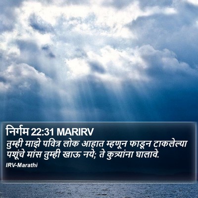 निर्गम 22:31 MARIRV Bible Verse Image