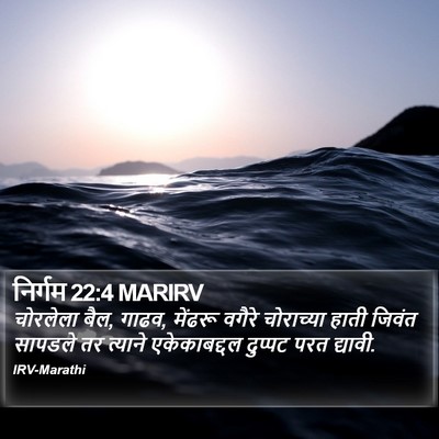 निर्गम 22:4 MARIRV Bible Verse Image