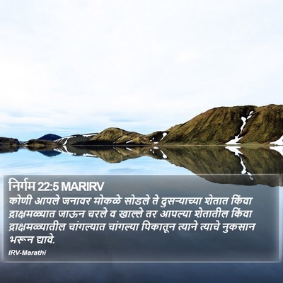 निर्गम 22:5 MARIRV Bible Verse Image