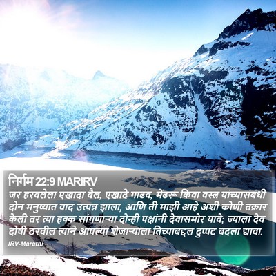 निर्गम 22:9 MARIRV Bible Verse Image