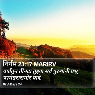निर्गम 23:17 MARIRV Bible Verse Image