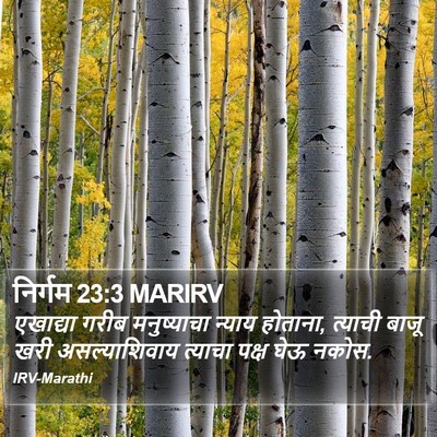 निर्गम 23:3 MARIRV Bible Verse Image