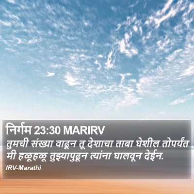 निर्गम 23:30 MARIRV Bible Verse Image