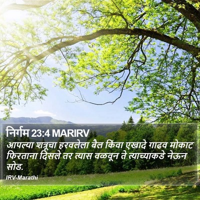 निर्गम 23:4 MARIRV Bible Verse Image