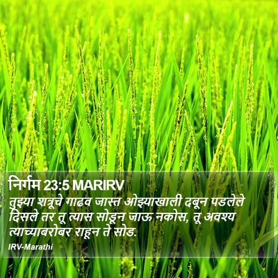 निर्गम 23:5 MARIRV Bible Verse Image