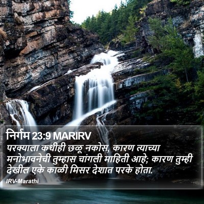 निर्गम 23:9 MARIRV Bible Verse Image
