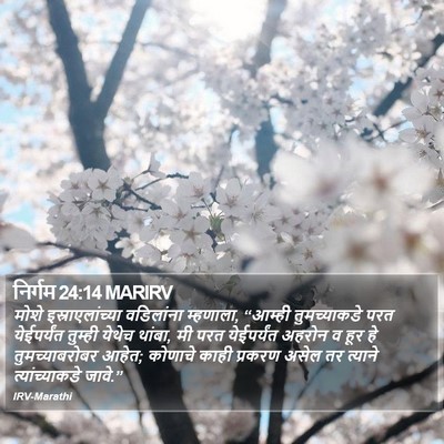 निर्गम 24:14 MARIRV Bible Verse Image