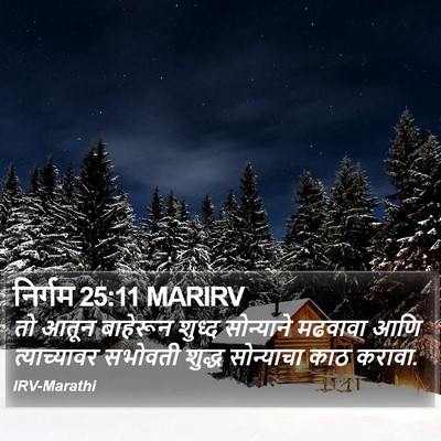 निर्गम 25:11 MARIRV Bible Verse Image