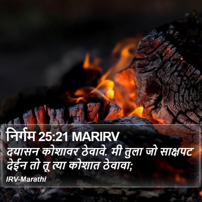 निर्गम 25:21 MARIRV Bible Verse Image