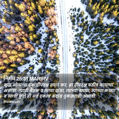 निर्गम 25:31 MARIRV Bible Verse Image