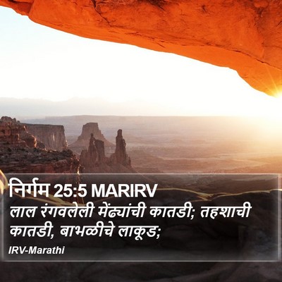 निर्गम 25:5 MARIRV Bible Verse Image