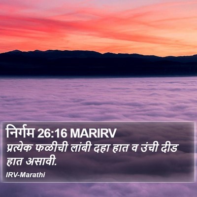 निर्गम 26:16 MARIRV Bible Verse Image