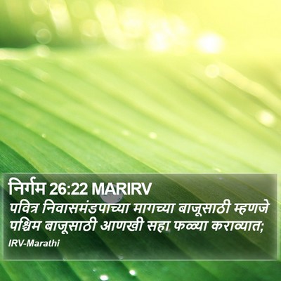 निर्गम 26:22 MARIRV Bible Verse Image