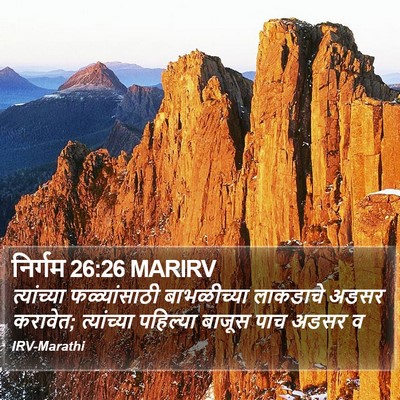 निर्गम 26:26 MARIRV Bible Verse Image