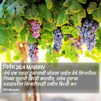 निर्गम 26:4 MARIRV Bible Verse Image