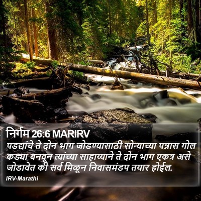 निर्गम 26:6 MARIRV Bible Verse Image