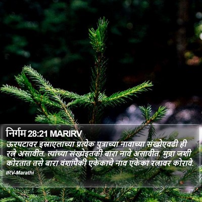 निर्गम 28:21 MARIRV Bible Verse Image