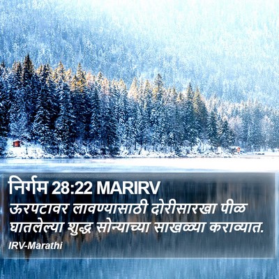 निर्गम 28:22 MARIRV Bible Verse Image