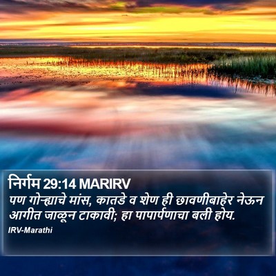 निर्गम 29:14 MARIRV Bible Verse Image