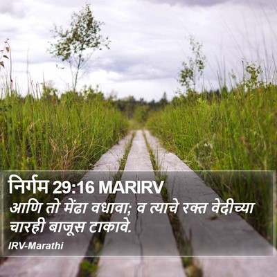 निर्गम 29:16 MARIRV Bible Verse Image