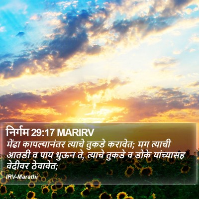 निर्गम 29:17 MARIRV Bible Verse Image