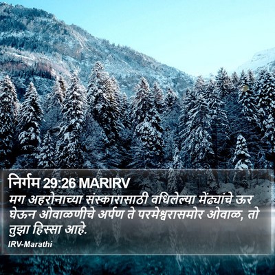 निर्गम 29:26 MARIRV Bible Verse Image