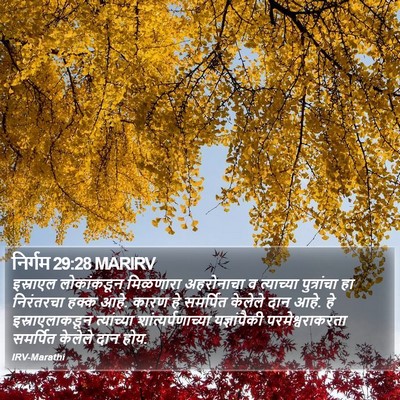 निर्गम 29:28 MARIRV Bible Verse Image