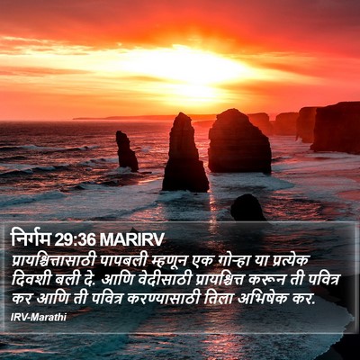 निर्गम 29:36 MARIRV Bible Verse Image