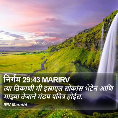निर्गम 29:43 MARIRV Bible Verse Image