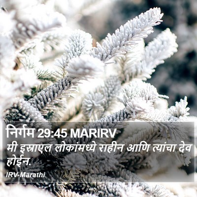 निर्गम 29:45 MARIRV Bible Verse Image