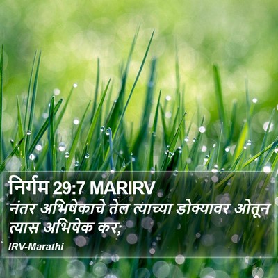 निर्गम 29:7 MARIRV Bible Verse Image