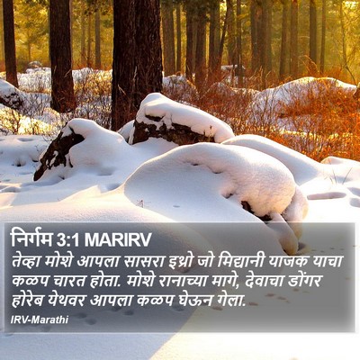 निर्गम 3:1 MARIRV Bible Verse Image