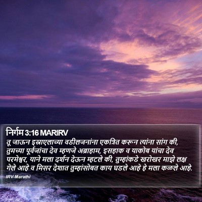 निर्गम 3:16 MARIRV Bible Verse Image