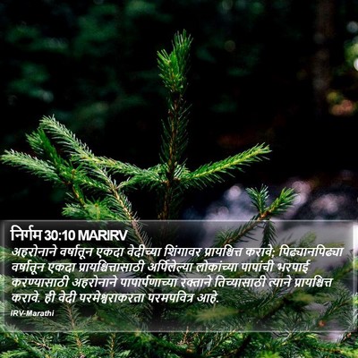 निर्गम 30:10 MARIRV Bible Verse Image