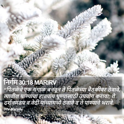 निर्गम 30:18 MARIRV Bible Verse Image