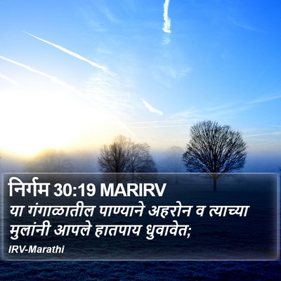 निर्गम 30:19 MARIRV Bible Verse Image
